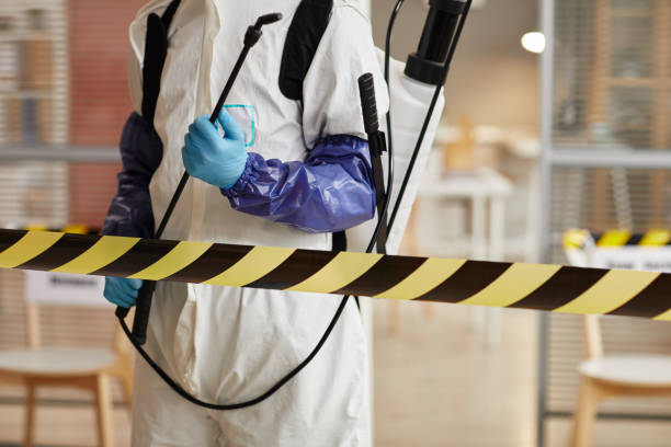 Professional Sewage Cleanup technician working in Milford, PA